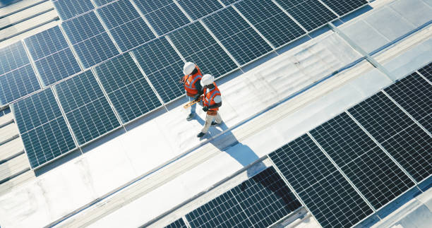 Best Roof Moss and Algae Removal  in New Berlin, IL